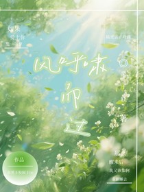 风呼啸而过