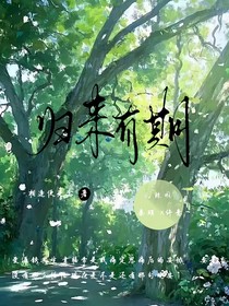 归来有期