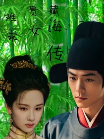 藏海传之贵女难求