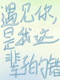 遇見(jiàn)你，是我這輩子的錯(cuò)