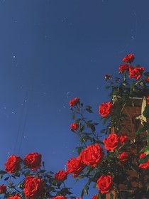 不思兰亭