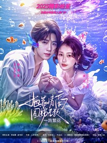 一路繁花：她靠情商圈粉無(wú)數(shù)