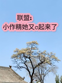 联盟：小公主又作了