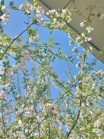 蝉鸣里的旧夏天