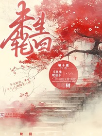 来生轮回