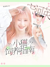 开推3：小猫饲养指南