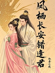 風棲長安錯逢君