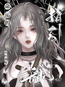 守護甜心：命運的指引