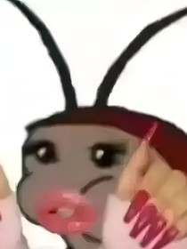 蟑螂穿越记