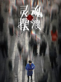综影视之漫漫何其多