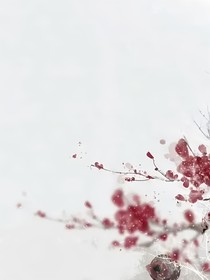 刎玉錄