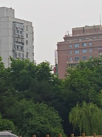 沈颂