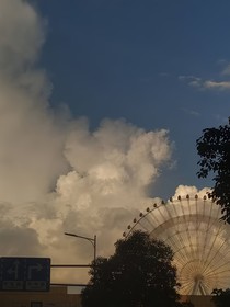 青橙汁