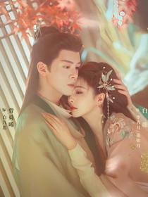 临江仙之即离即婚版