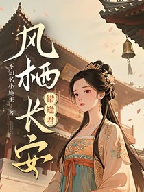风栖长安错逢君