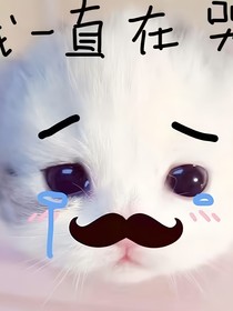临时心动预案