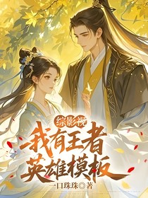 綜影視：我有王者英雄模板