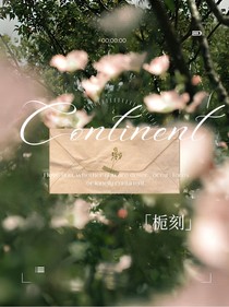 洲continent