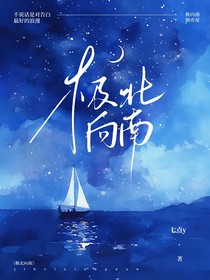 极星向南
