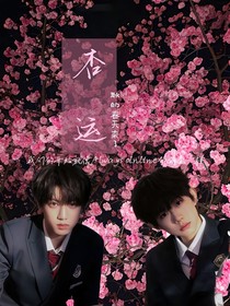 桂恒：杏运