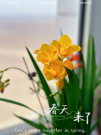 天降嬌妻：千億婚約退不得