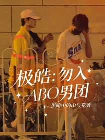 极皓：勿入ABO男团（上册）