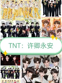 TNT：许卿永安