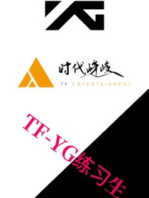 TF——YG