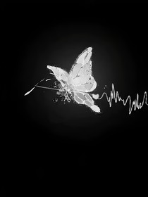 极禹：阳光下等你