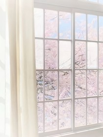 遇你如春水映梨花许你一生平安