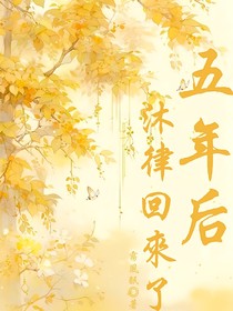五年后，沈律回来了