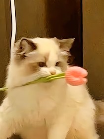 我死后的那几年