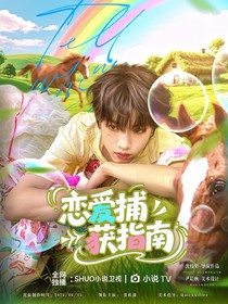 TF四代：恋爱捕获指南