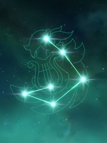 风与种子的邂逅