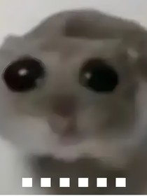 all轩：轩轩是个o