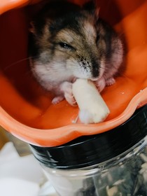 我在另一個世界與你相遇