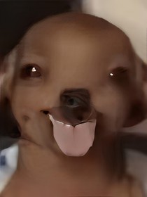 韩玉梅