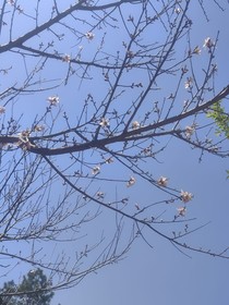 前世孽，今生緣