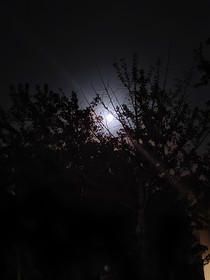 和五个大佬联姻了
