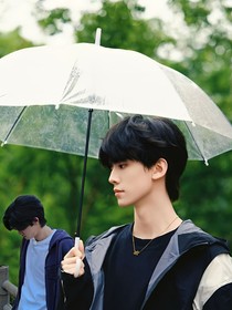 左邓：常青藤