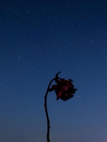 流星花园：重来一次我不会放手
