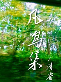 凡鸟集