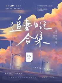 现男友追妻日记