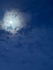 你和太陽
