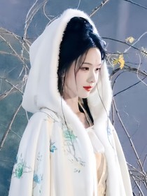 大梦归离：别云间