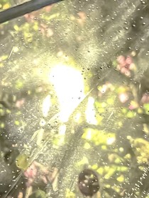 未命名的夏天方程式
