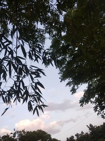 書名正在修改1749374530245052587
