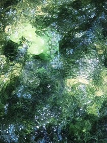 坠入灿夏