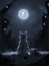 星耀恋曲从邂逅开始的浪漫