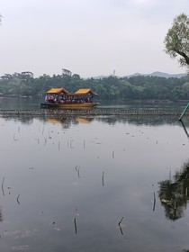 那年恋夏